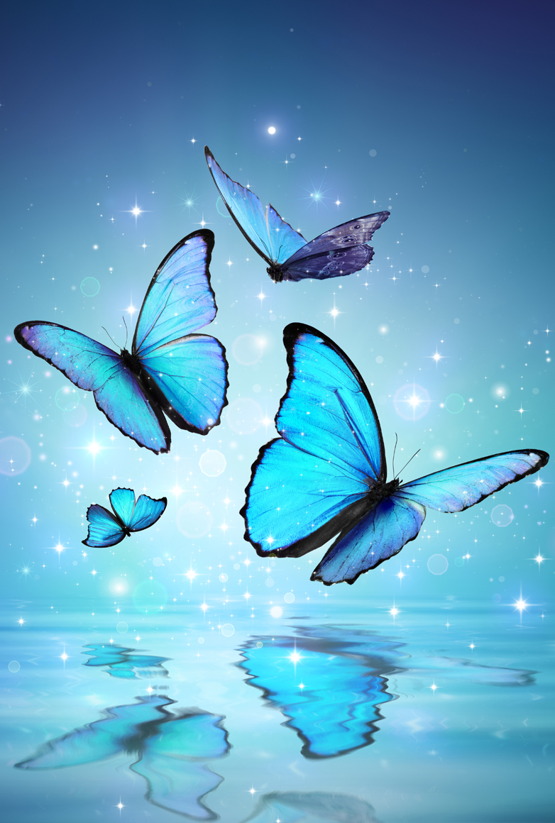 Image de quatre papillons bleus entourés d'étincelles blanches et qui se reflètent sur une étendue d'eau